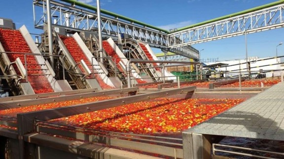 El Ministerio de Agricultura incrementa las ayudas para secano, arroz y tomate, con 743.132 euros más para Aragón