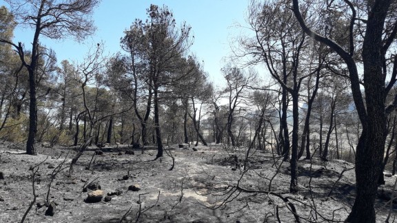 El incendio de Lledó se da por controlado tras calcinar 80 hectáreas y los desalojados vuelven a sus casas
