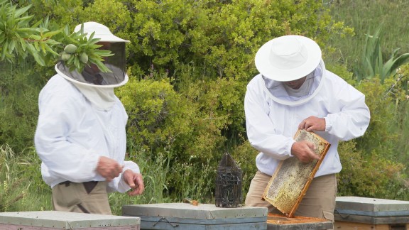 El sector apícola aragonés pide ayuda frente a los estragos de la sequía y la importación de miel china