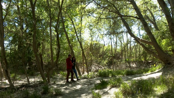 ‘El Bosque Encantado’ cumple 30 programas en el Galacho del Juslibol