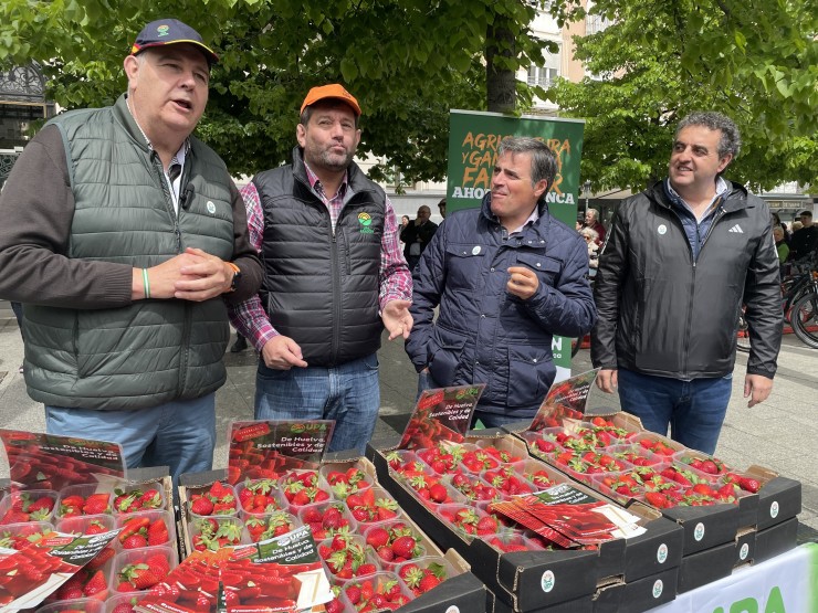 UPA Andalucía ha repartido fresas a los zaragozanos en la plaza de España. / Europa Press