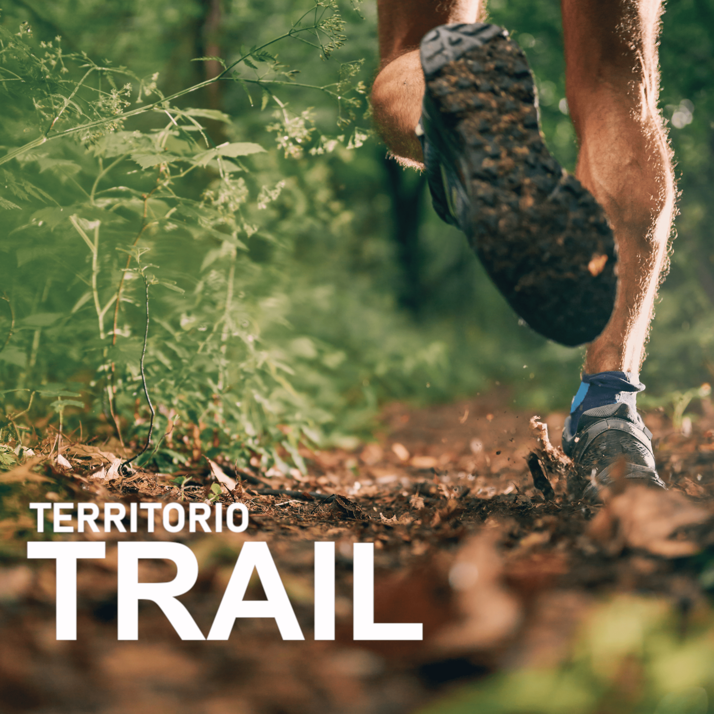 Territorio Trail