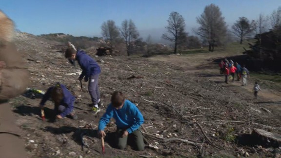 5.000 bellotas de carrasca y roble para recuperar el Moncayo tras el incendio de Añón