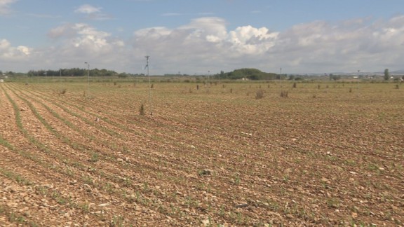 El Gobierno central destina 37,3 millones de euros en ayudas a más de 16.000 agricultores aragoneses por la sequía