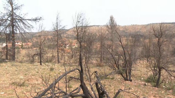 Se cumple un año del incendio que arrasó 900 hectáreas en Olba y San Agustín