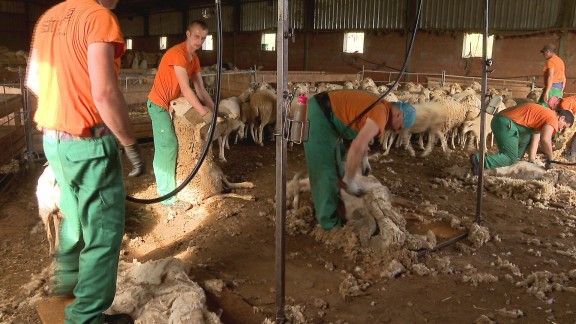 Toneladas de lana se acumulan en Teruel desde que China no compra esta materia prima