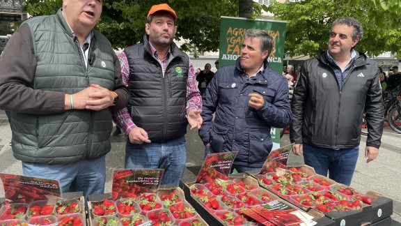 UPA sale a la calle para defender la calidad de la fresa de Huelva