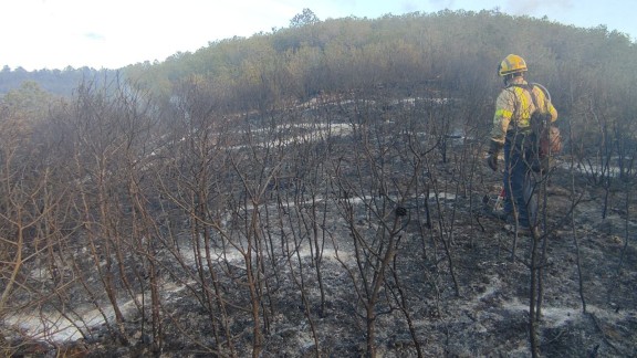 Controlado un incendio forestal que ha quemado unas seis hectáreas en La Pobla de Massaluca (Tarragona)