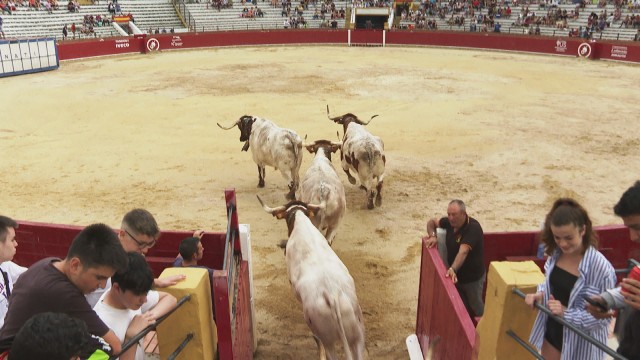 Imagen frame-02-temporada-alta-vacas.jpg