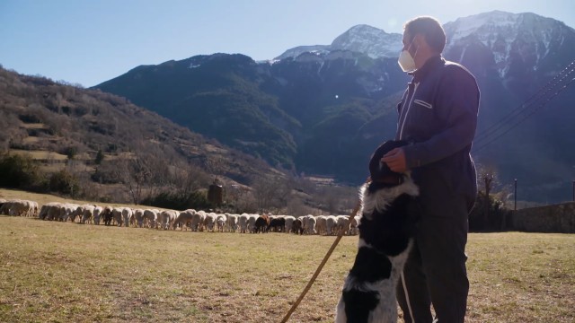 Imagen de La primera escuela de pastoreo de Aragón se presenta este domingo en ‘Charrín Charrán’