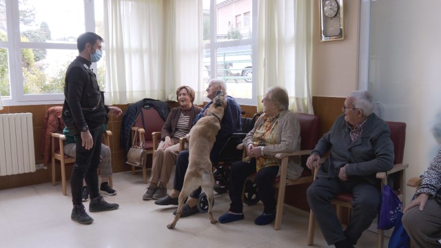 Imagen de Los animales de compañía protagonizan ‘Son mis amigos’, el nuevo programa de Aragón TV