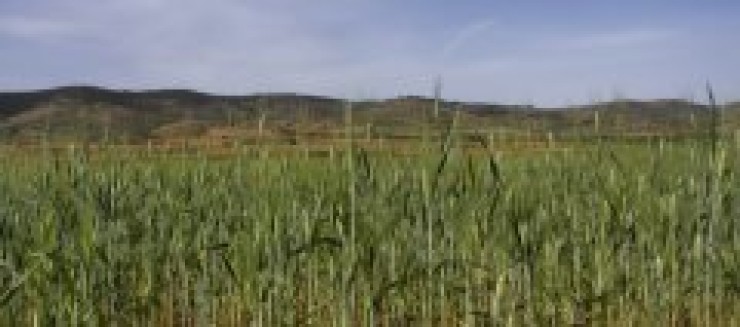La Cámara Agraria de Huesca denuncia que el sector está amenazado