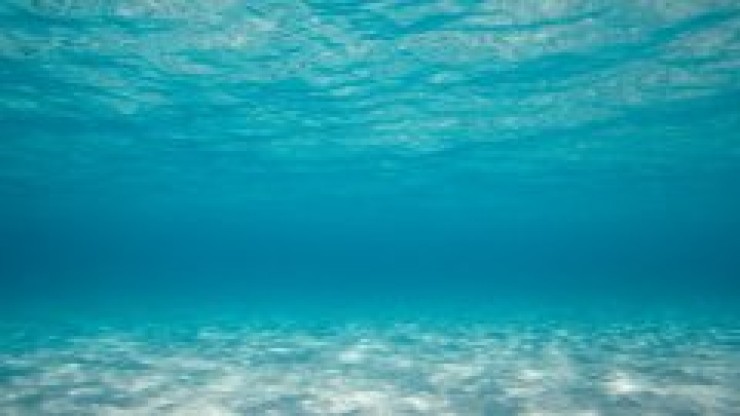 Los océanos y el cambio climático