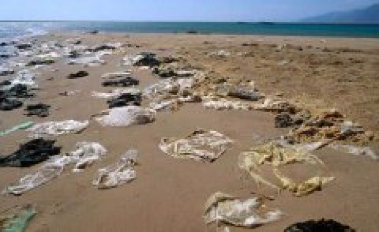 Plásticos y microplásticos siguen inundando mares y ecosistemas