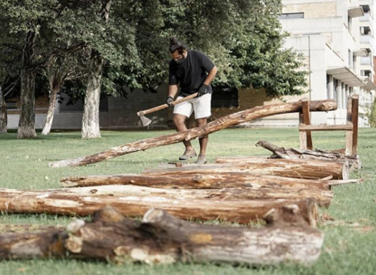 Exhibición de trabajo escultórico con árboles en vivo (F. Instagram Darío Escriche)