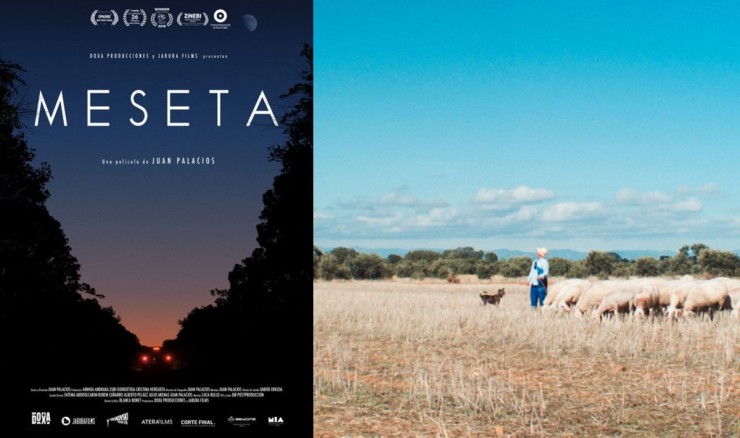'La meseta' dirigida por Juan Palacios