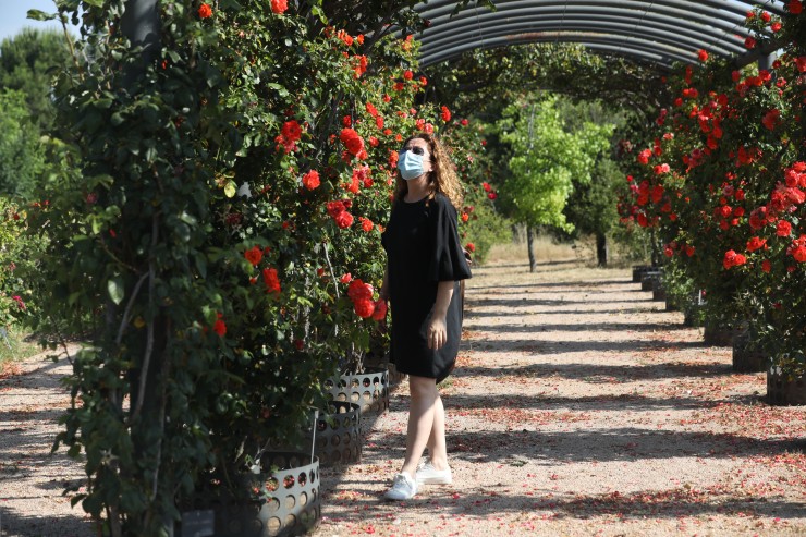 Una mujer pasea con mascarilla por un jardín botánico.