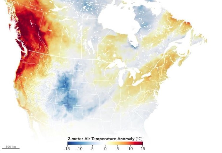 El cambio climático está detrás de las altas temperaturas en Canadá (NASA EARTH OBSERVATORY)