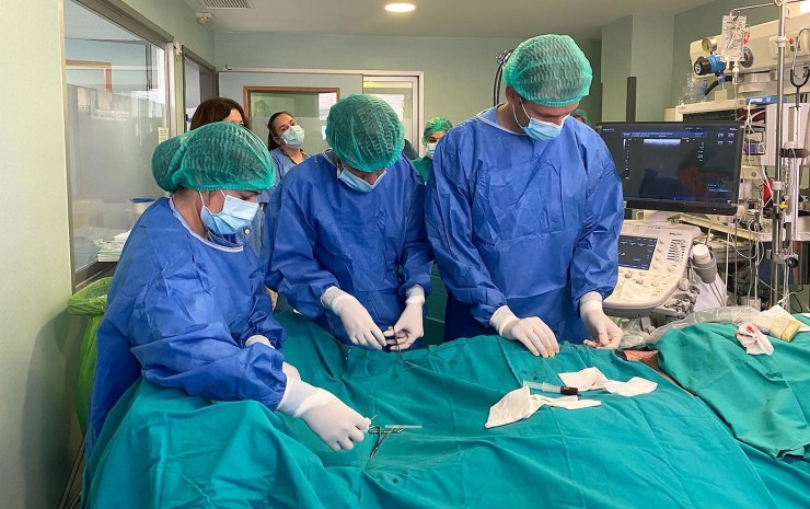 Intervención quirúrgica en el Hospital Miguel Servet de Zaragoza.