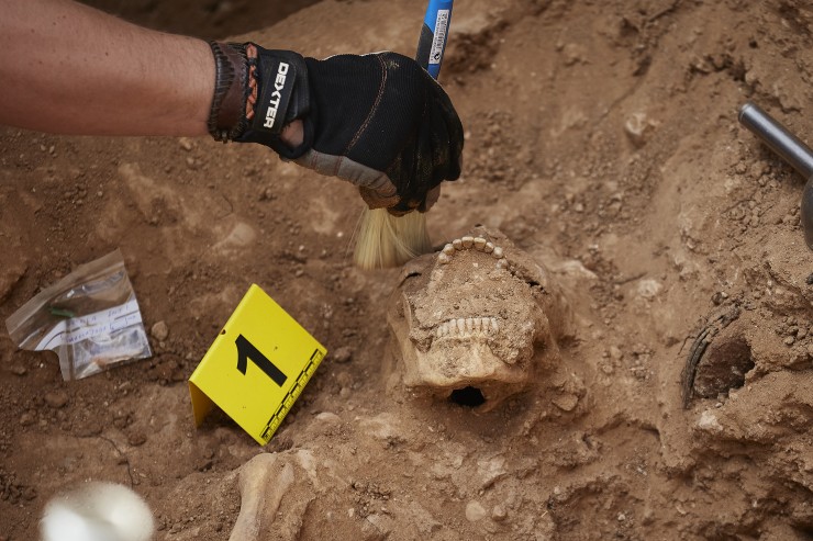 Trabajos de búsqueda y exhumación en una fosa (EP).