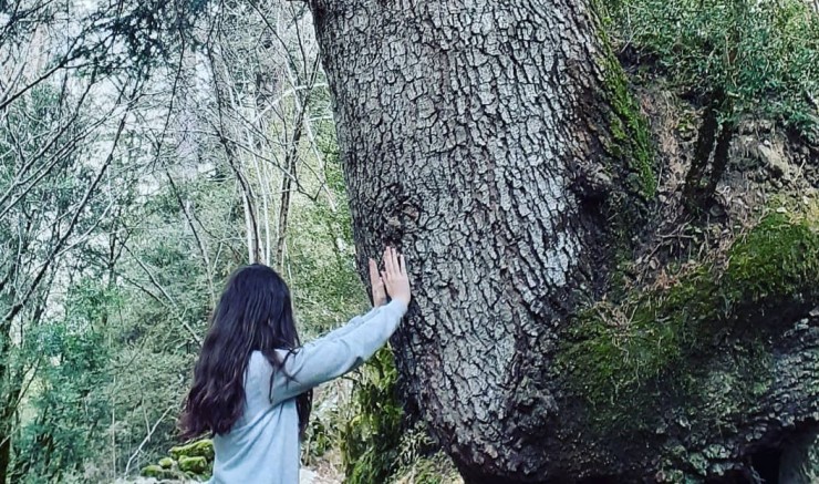 Mujer en contacto con un árbol en una sesión de baños de bosque (Yolanda Fernández).