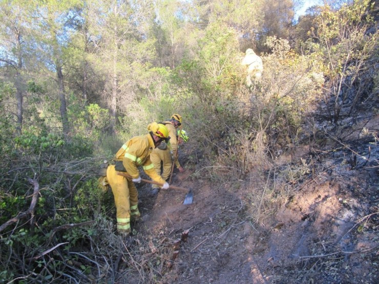 Varias personas realizan labores de prevención de incendios en el monte (EP).
