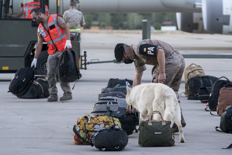 Un soldado examina con un perro los equipajes de varios refugiados España tras la llegada de un nuevo avión con 260 personas procedentes de Afganistán (EP).