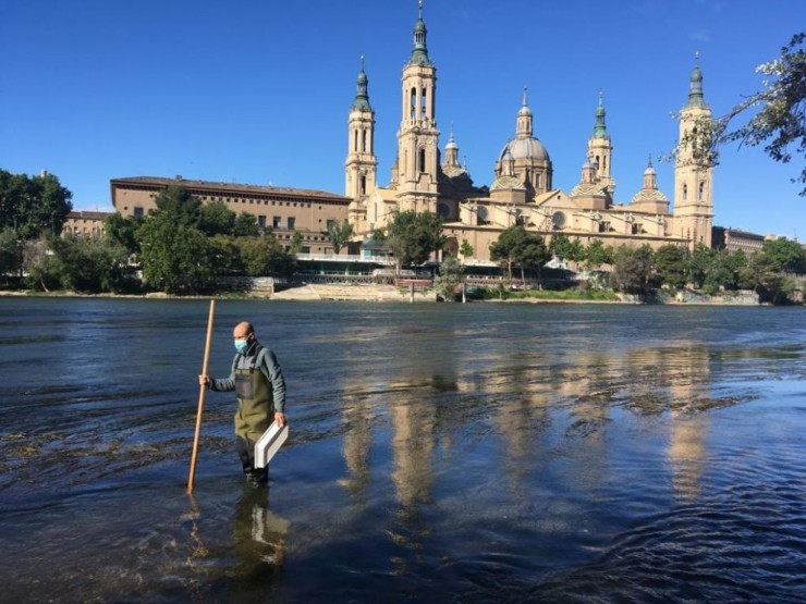 Un operario trabaja en el río Ebro en el tratamiento contra la mosca negra.