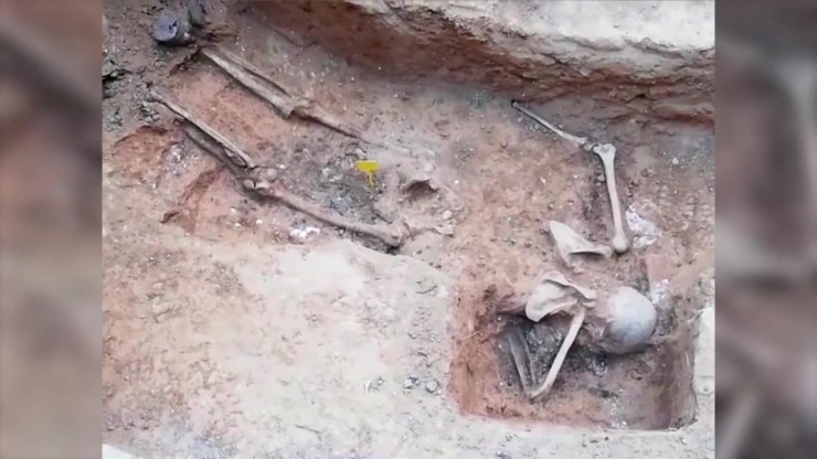 Restos hallados este jueves en una fosa común del cementerio de Alcañiz. (ASOCIACIÓN POZOS DE CAUDÉ)