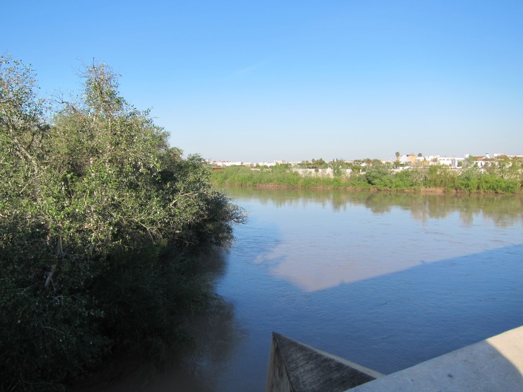 El río Guadalquivir a su paso por Córdoba (EP).