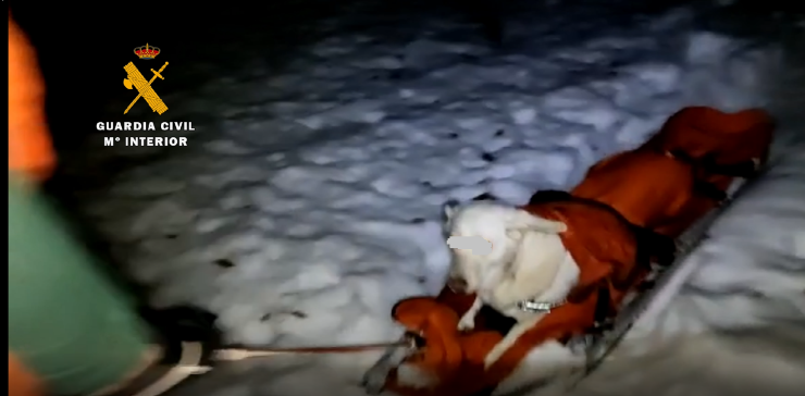 El perro fue evacuado en una camilla tirada por los agentes, deslizándola por la nieve. (Foto: Guardia Civil).