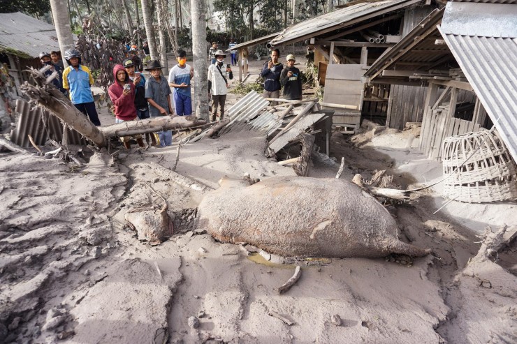Vecinos de la localidad de Lumajang evalúan los daños que deja la erupción (Foto: EFE).
