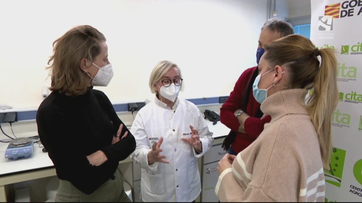 La consejera de Ciencia, Maru Díaz y la directora del CITA, Lucía Soriano, atienden a las explicaciones de la investigadora responsable del estudio, Clara Marín.