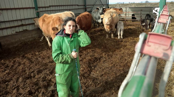 El programa 'El campo es nuestro' de Aragón TV estará dedicado a las agricultoras y ganaderas de la Comunidad.