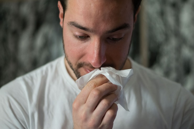 La alergia se puede confundir con un catarro por los estornudos, la congestión y por la sensación de que no se respira bien./PIXABAY