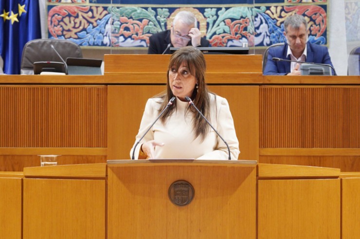 La consejera de Sanidad del Gobierno de Aragón, Sira Repollés en la sesión plenaria. / Foto: Cortes de Aragón
