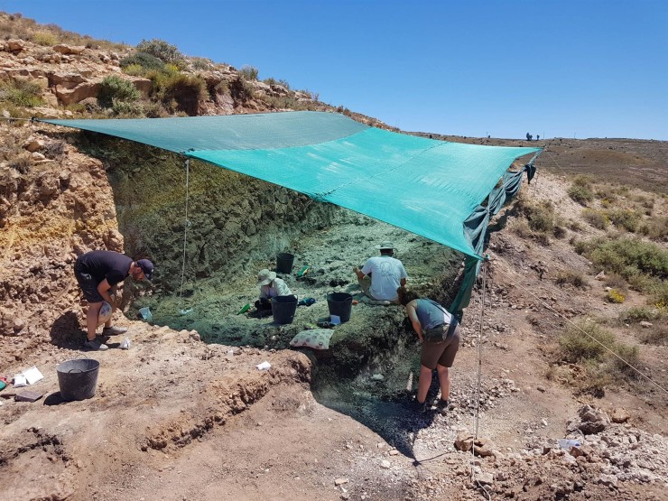 Paleontólogos buscan fósiles de félidos "dientes de sable" en Teruel. (FUNDACIÓN DINÓPOLIS).