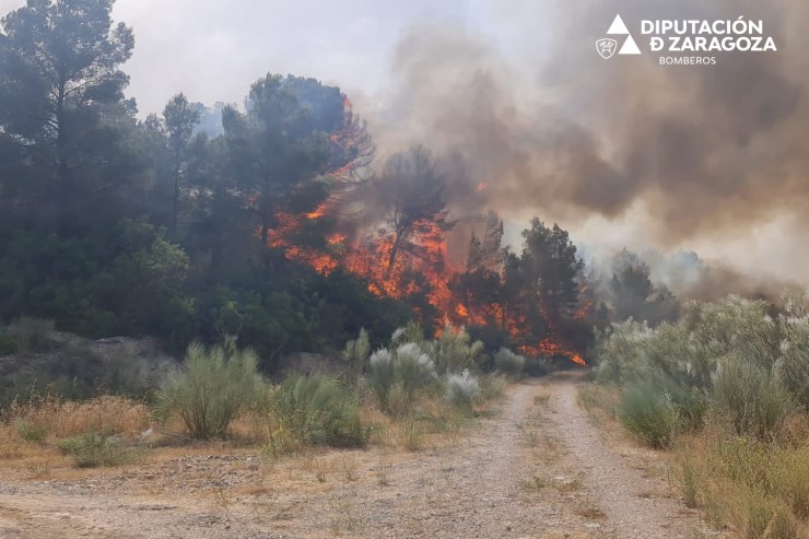 Imagen de archivo del incendio que ha quemado 2.000 hectáreas de superficie forestal en Nonaspe (Zaragoza). / Diputación de Zaragoza