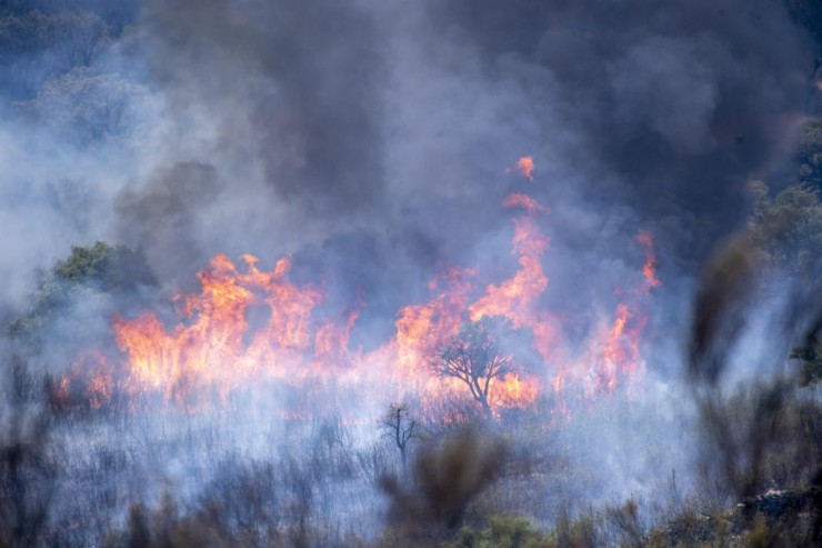Imagen del incendio activo en el Parque Nacional de Monfragüe, en Cáceres. (EFE/Ismael Herrero)