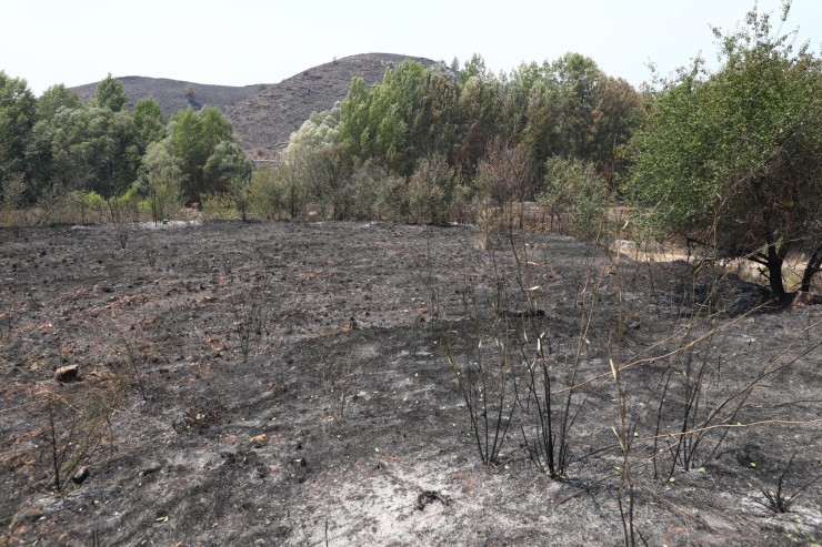 Imagen de una zona calcinada por el incendio. / Gobierno de Aragón