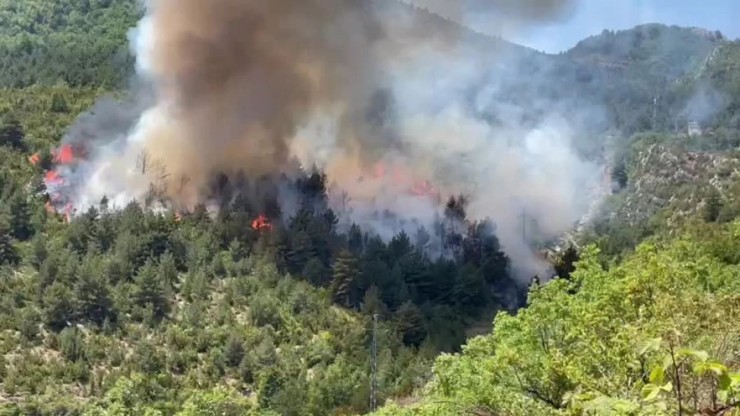 Superficie afectada por el incendio de Bonansa el miércoles. / Europa Press