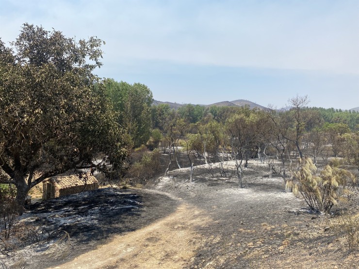 El incendio forestal de Ateca ha calcinado más de 14.000 hectáreas. \Europa Press