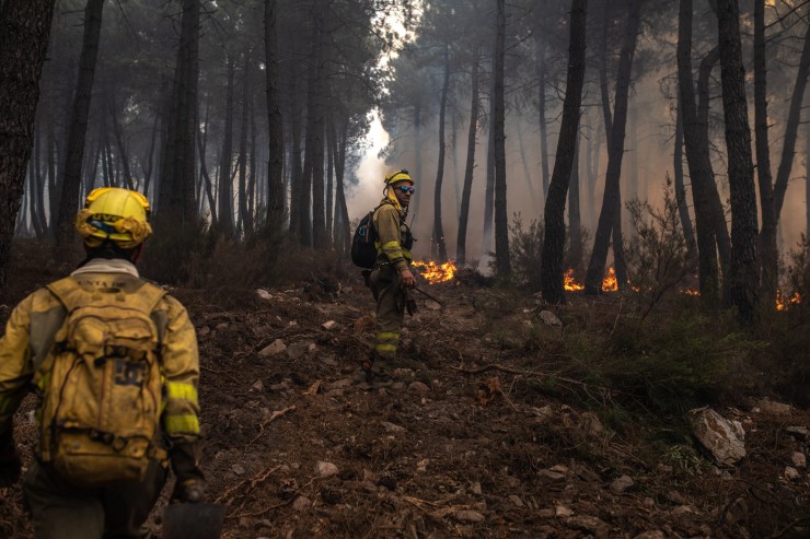 El incendio ha quemado unas 31.500 hectáreas. / EMILIO FRAILE / EUROPA PRESS