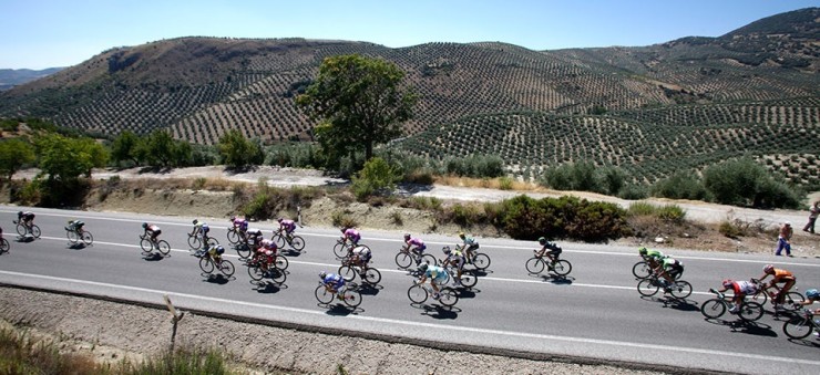Un grupo de ciclistas circulando por la carretera./ Europa Press