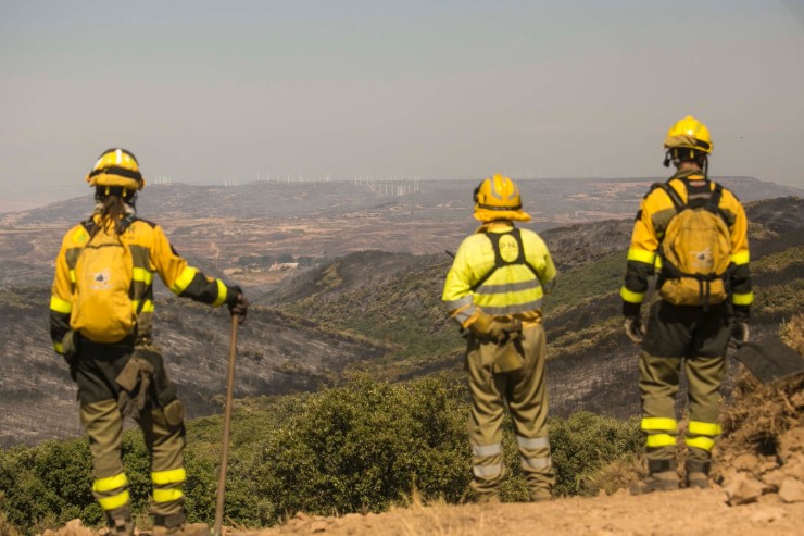 El incendio de Añón de Moncayo sigue activo. | DGA