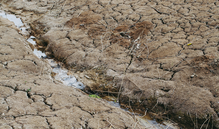 La sequía provoca la cancelación de actividades en Aragón. / Unsplash