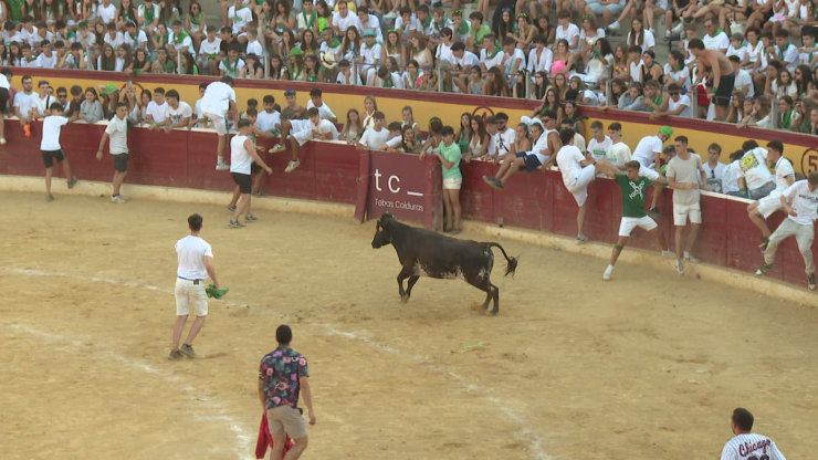 Momento de las vaquillas que se celebran en Huesca por las fiestas de San Lorenzo.