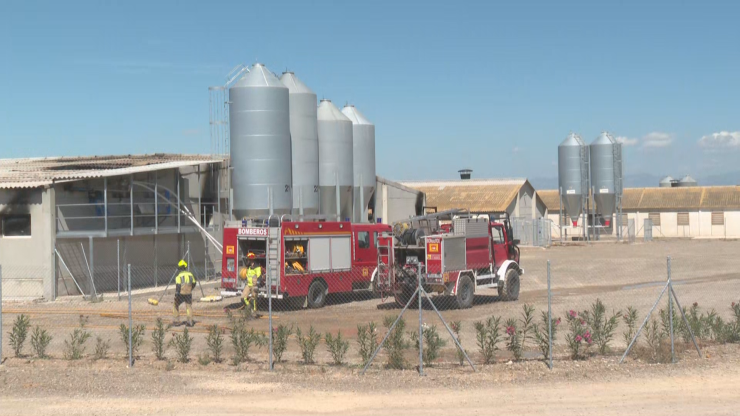 Los bomberos de la DPH actuando en la granja incendiada. / Aragón TV.