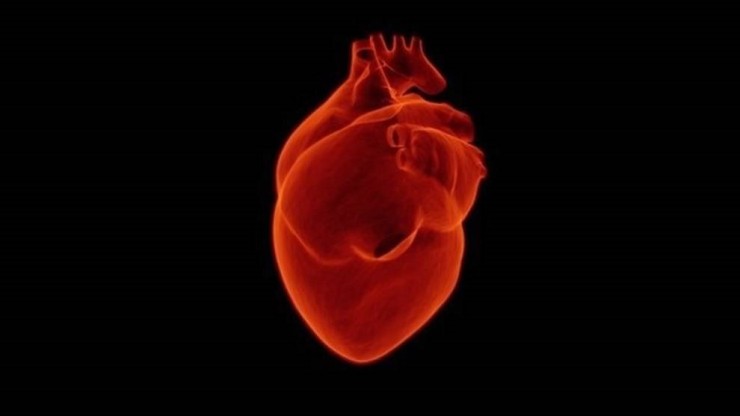 Este jueves, 29 de septiembre, es el Día Mundial del Corazón. (Foto de archivo).