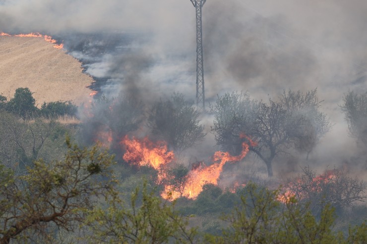 Foto del incendio de Añón de Moncayo del 13 de agosto./ Fabián Simón